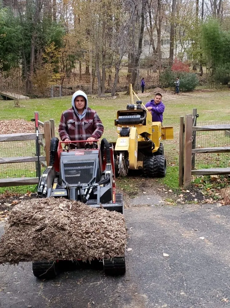 Affordable landscaping services for beautiful yards across Warminster, PA - Flores Tree Services & Landscaping