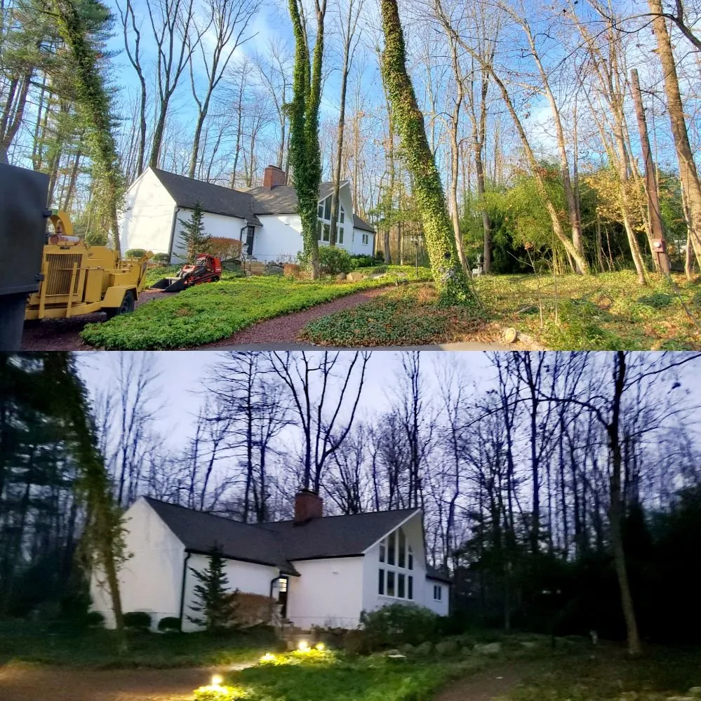 Top-rated landscaping services with custom design across Warminster, PA - Flores Tree Services & Landscaping