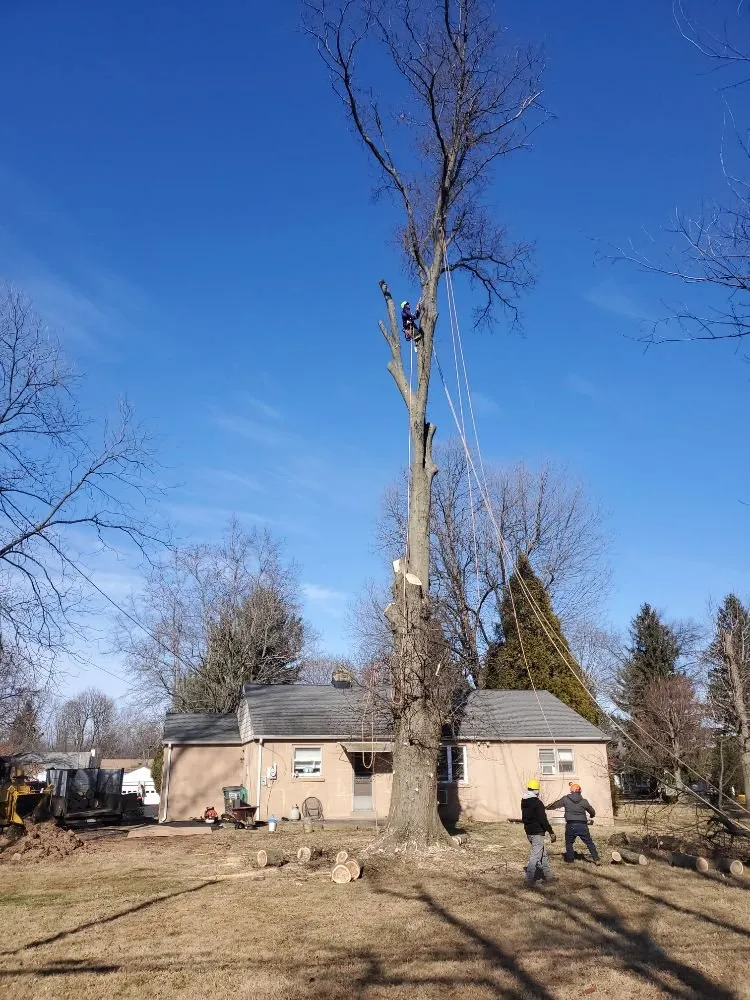 Affordable garden landscaping in Warminster, PA - Flores Tree Services & Landscaping