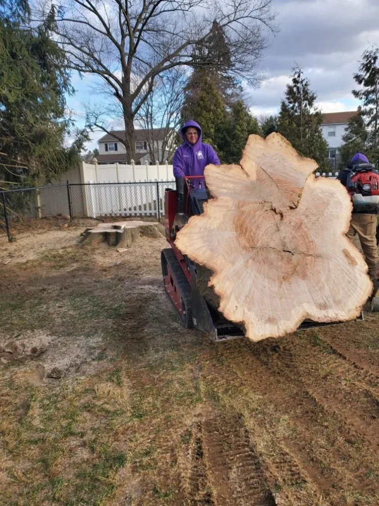 Expert yard cleanup service for outdoor upgrades in Warminster, PA by Flores Tree Services & Landscaping