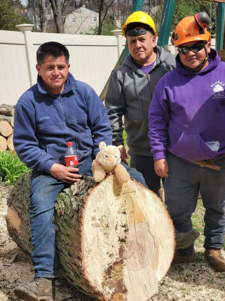 Professional yard maintenance for residential properties across Warminster, PA - Flores Tree Services & Landscaping