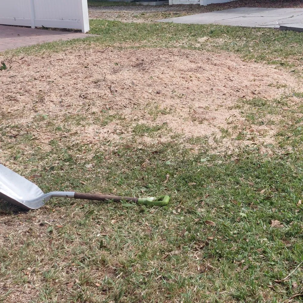 Professional landscaping services in Tampa, FL - Flores Tree Services