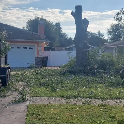 Flores Tree Services Logo