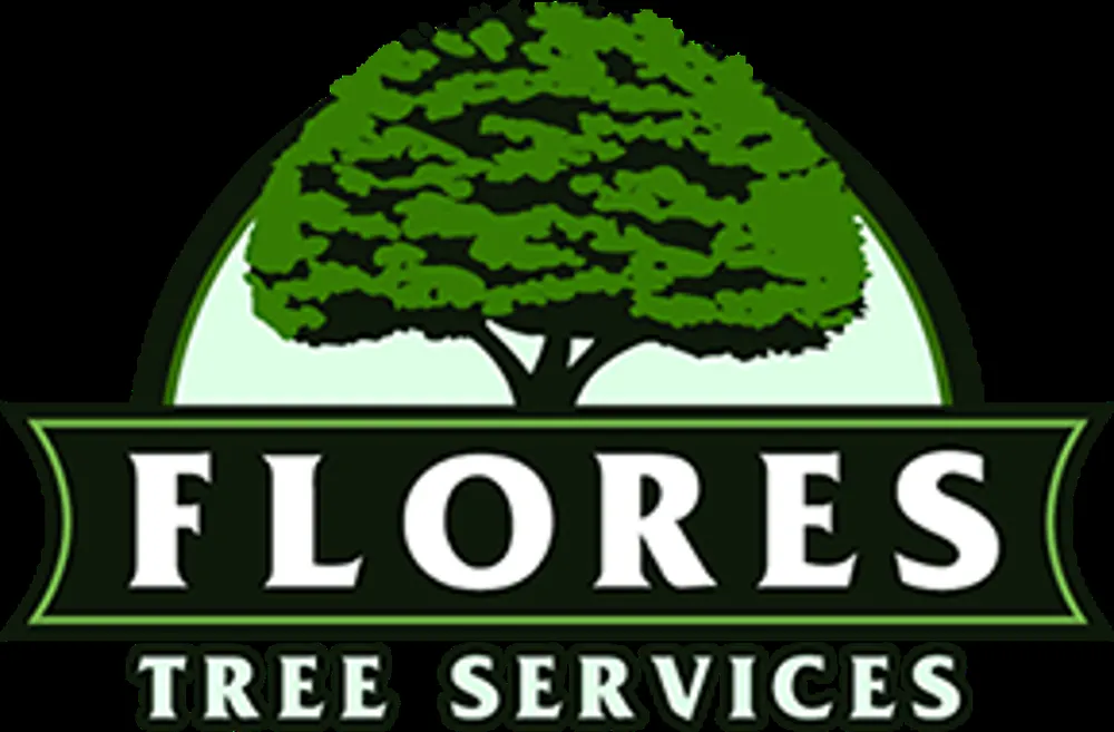 Affordable yard maintenance in Tioga, TX by Flores Tree Services
