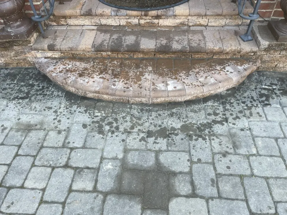 Trusted lawn mowing service for year-round maintenance across Norristown, PA - Floresbrothers