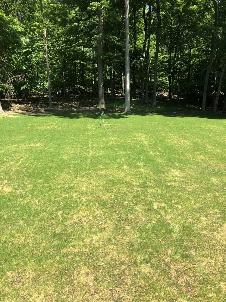 Professional lawn care service in Cedar Knolls, NJ - Florez Landscaping and Tree Services
