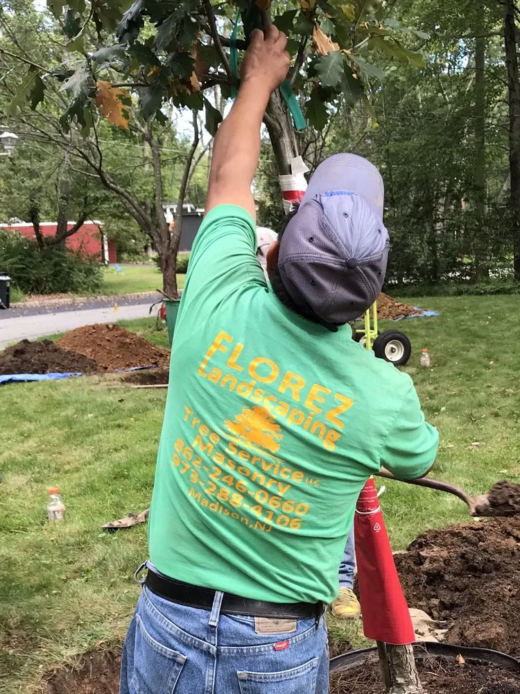Local yard maintenance experts serving Cedar Knolls, NJ - Florez Landscaping and Tree Services
