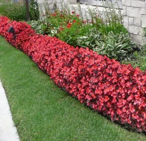 Reliable outdoor landscaping near you across Cedar Knolls, NJ - Florez Landscaping and Tree Services