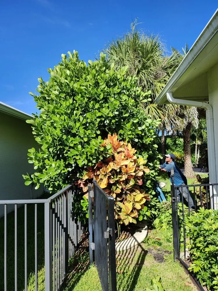 Custom yard cleanup service in Fort Pierce, FL - Flori Lawn Service