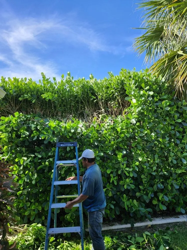 Custom lawn care service in Fort Pierce, FL by Flori Lawn Service