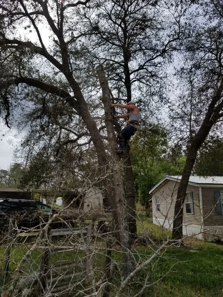 Expert residential landscaping in Hawthorne, FL - Florida All Outdoor Services