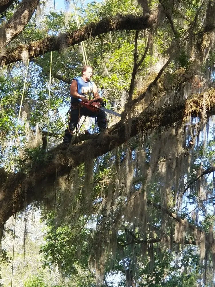 Professional landscape installation in Hawthorne, FL - Florida All Outdoor Services