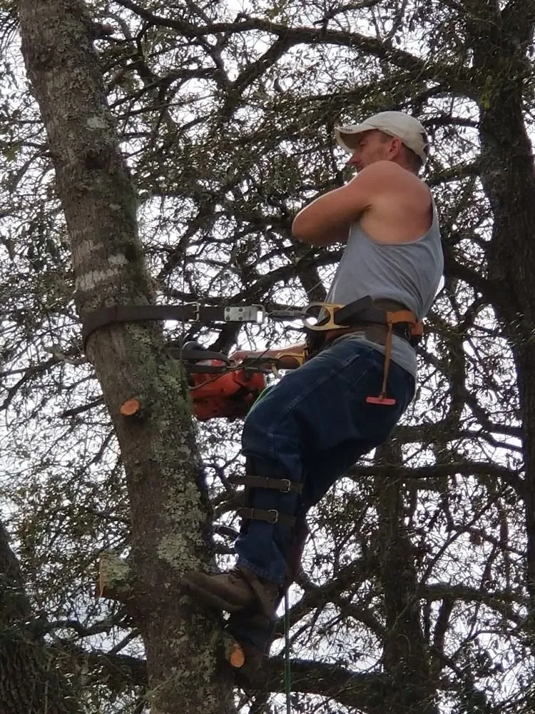 Custom lawn care service in Hawthorne, FL - Florida All Outdoor Services