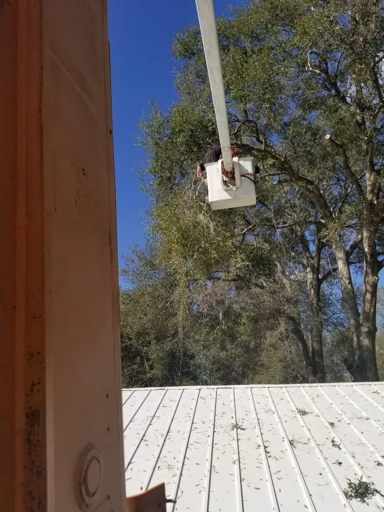 Local landscape design experts serving Hawthorne, FL - Florida All Outdoor Services