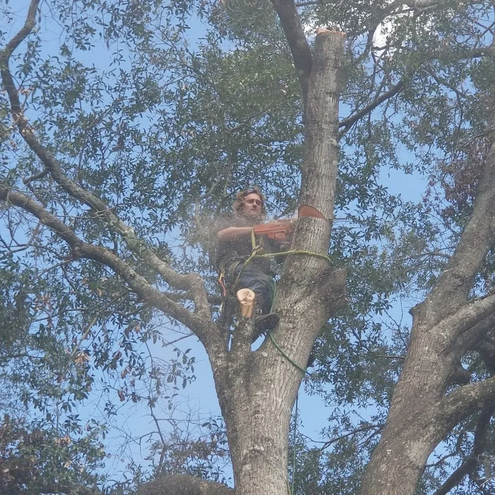 Reliable outdoor landscaping experts serving Hawthorne, FL - Florida All Outdoor Services