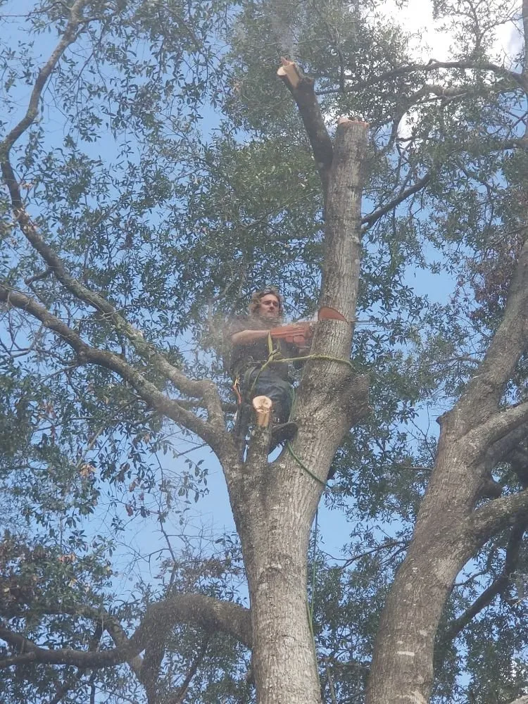 Local lawn care service for homes across Hawthorne, FL - Florida All Outdoor Services