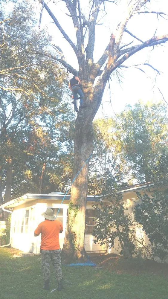 Affordable outdoor landscaping for year-round maintenance across Hawthorne, FL - Florida All Outdoor Services