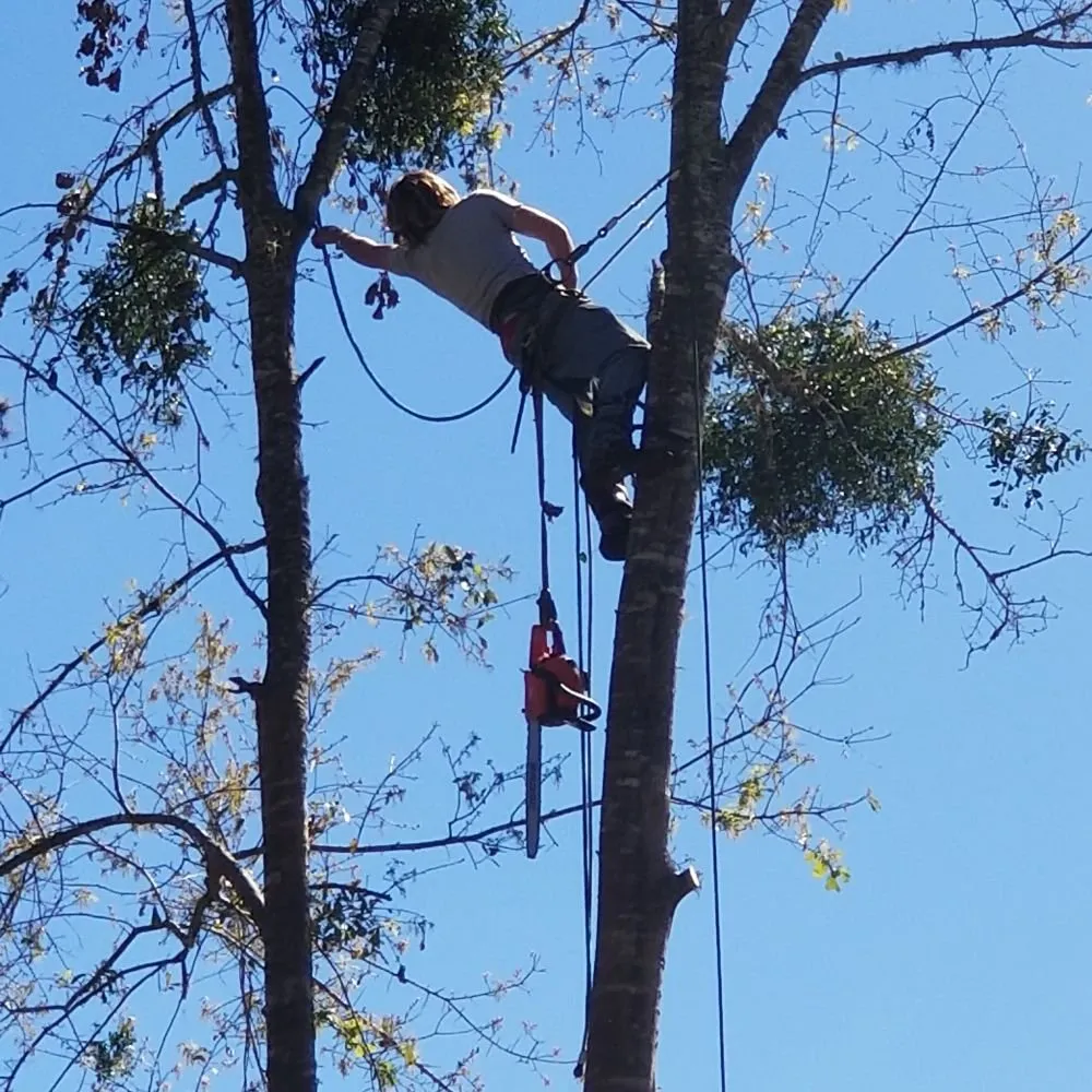 Top-rated landscape design experts serving Hawthorne, FL - Florida All Outdoor Services