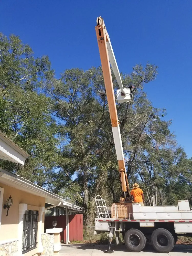 Affordable yard maintenance in Hawthorne, FL by Florida All Outdoor Services