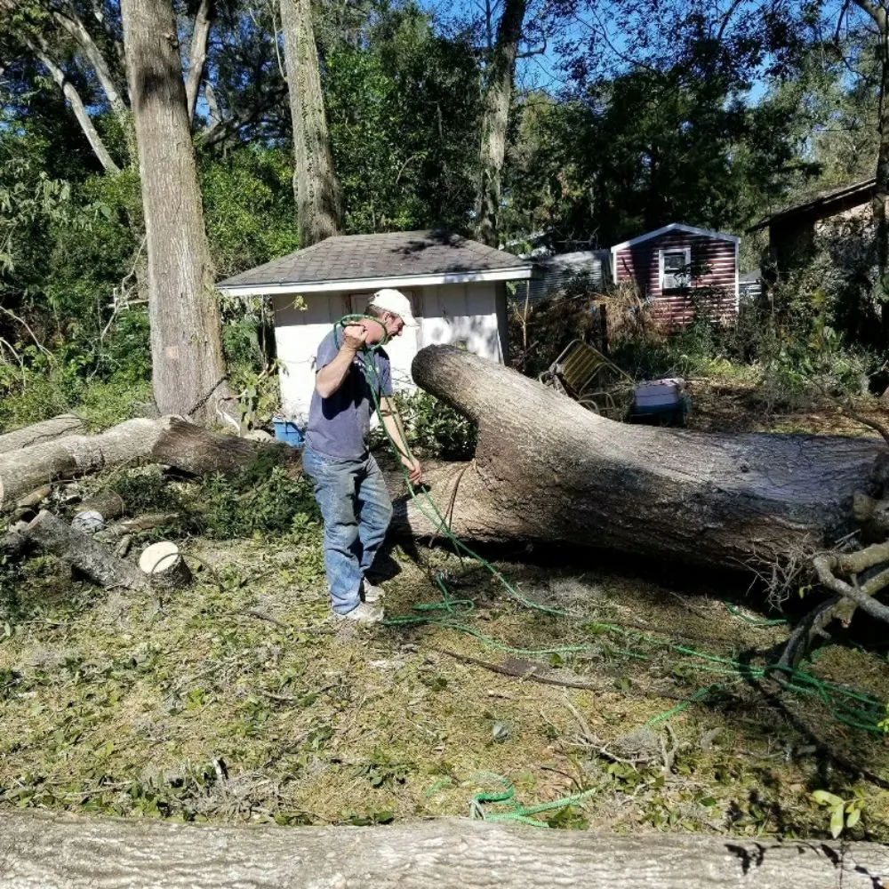 Top-rated yard maintenance in Hawthorne, FL - Florida All Outdoor Services