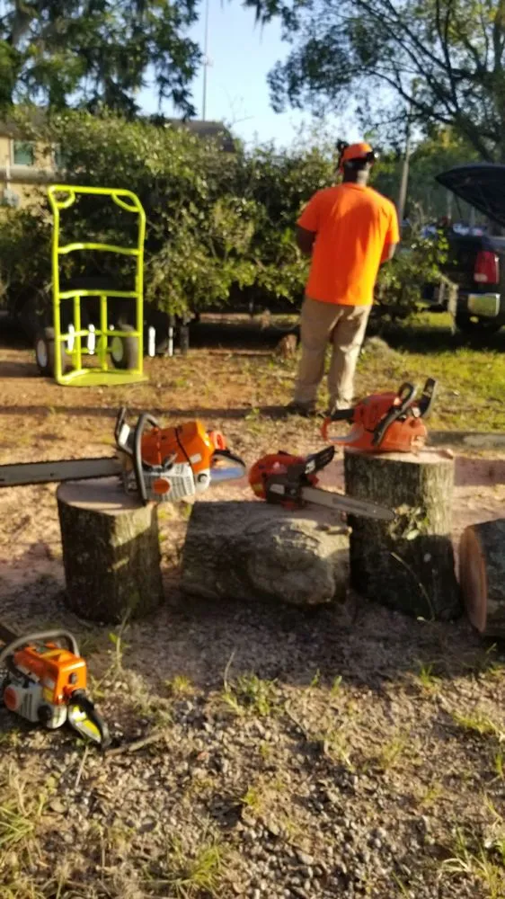 Reliable landscape installation experts serving Hawthorne, FL - Florida All Outdoor Services