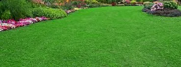 Trusted outdoor landscaping experts serving Hawthorne, FL - Florida All Outdoor Services