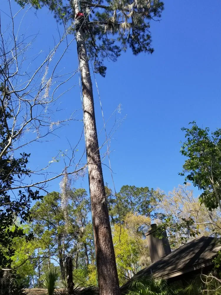 Custom residential landscaping experts serving Hawthorne, FL - Florida All Outdoor Services