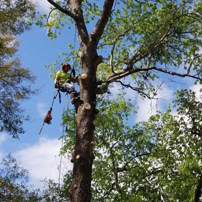 Florida All Outdoor Services