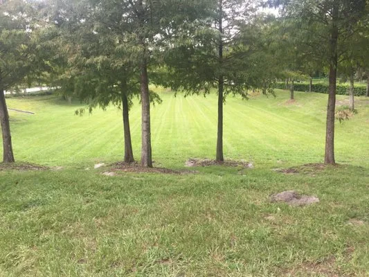 Florida Blades Lawncare Solutions Logo