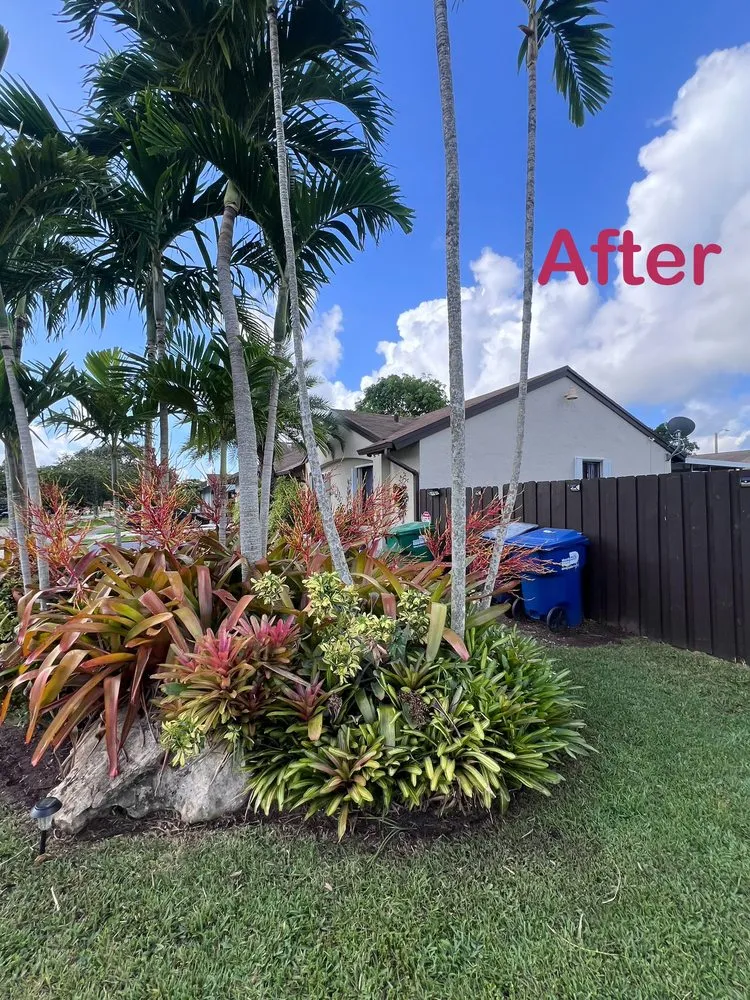 Affordable lawn mowing service for residential properties across Miami, FL - Florida Brothers Landscaping