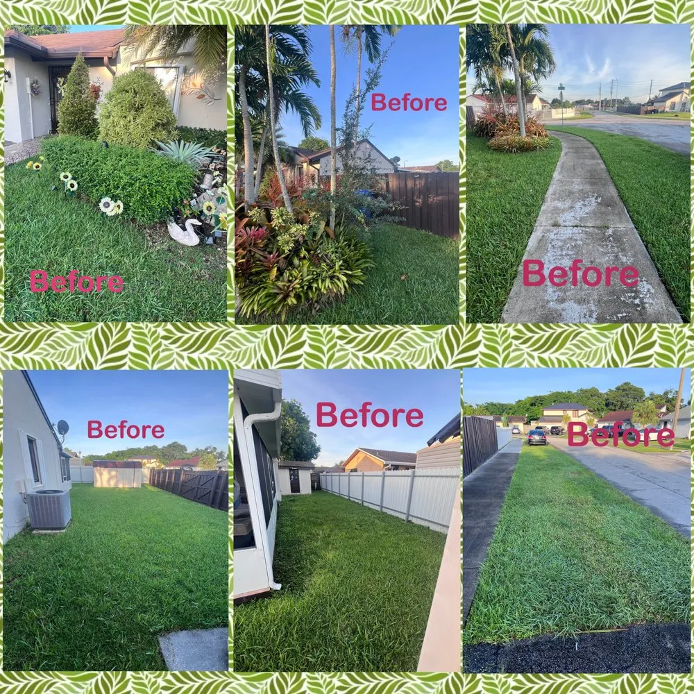 Expert yard cleanup service in Miami, FL by Florida Brothers Landscaping
