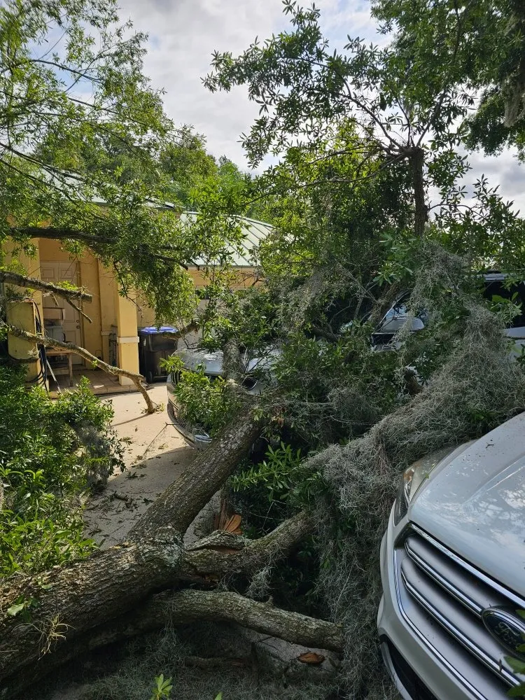 Trusted yard maintenance with custom design across Sorrento, FL - Florida Cut Above