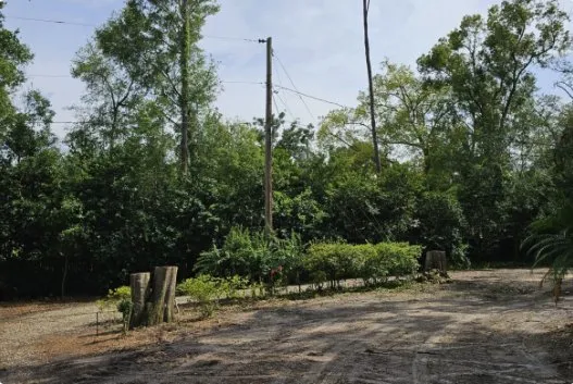 Expert yard maintenance experts serving Sorrento, FL - Florida Cut Above