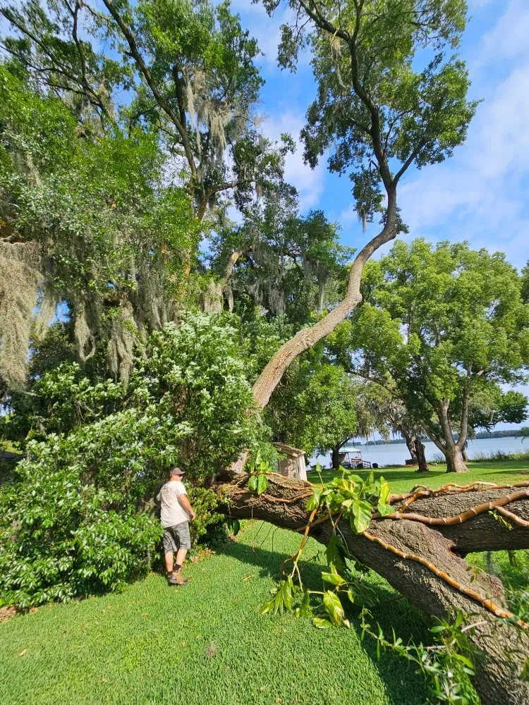 Top-rated outdoor landscaping in Sorrento, FL - Florida Cut Above