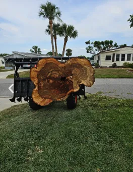 Reliable yard cleanup service experts serving Sorrento, FL - Florida Cut Above