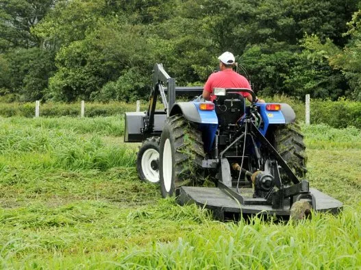 Expert lawn care service in Sorrento, FL - Florida Cut Above
