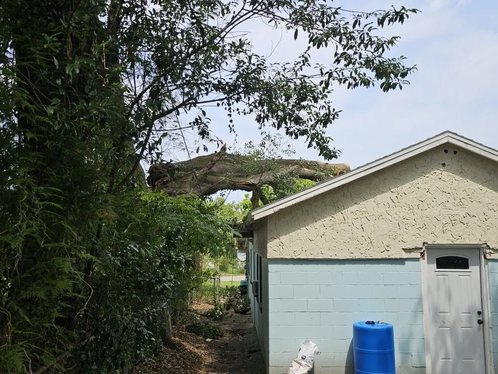 Trusted lawn care service in Sorrento, FL by Florida Cut Above