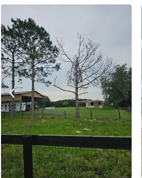Reliable landscape design for outdoor upgrades in Sorrento, FL by Florida Cut Above