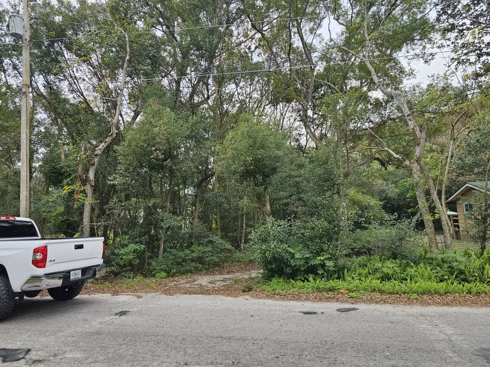 Affordable yard cleanup service in Sorrento, FL - Florida Cut Above