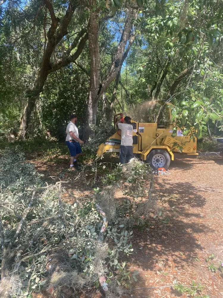 Custom landscape design experts serving Sorrento, FL - Florida Cut Above