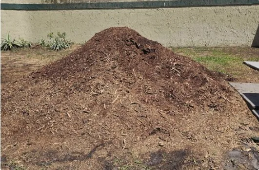 Top-rated yard cleanup service in Sorrento, FL - Florida Cut Above