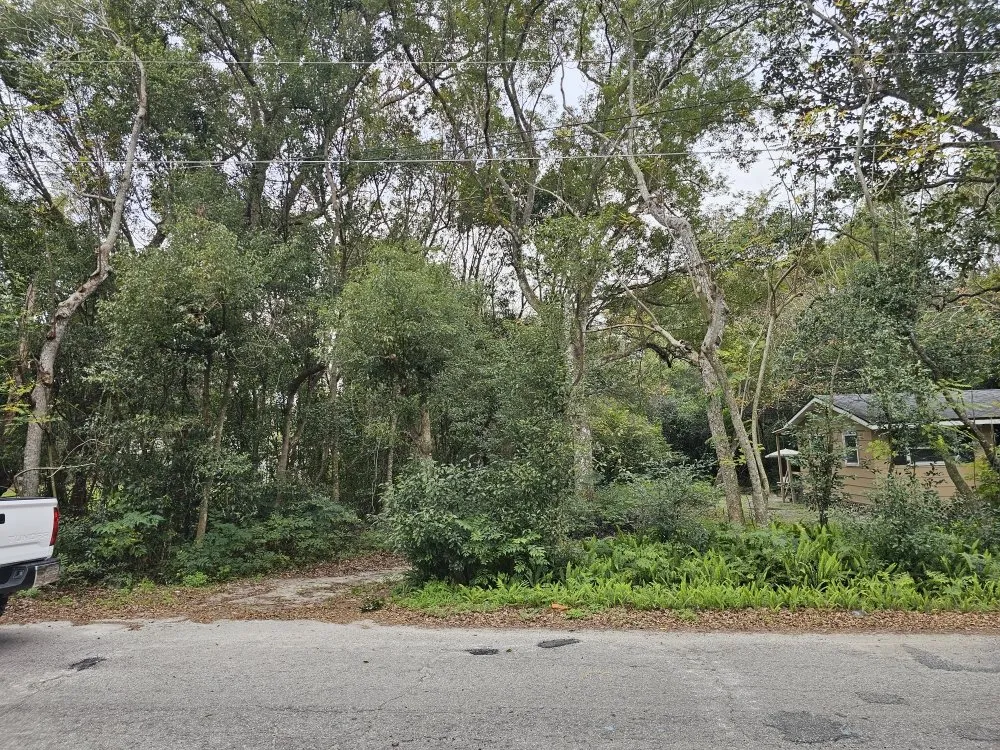 Reliable garden landscaping in Sorrento, FL - Florida Cut Above