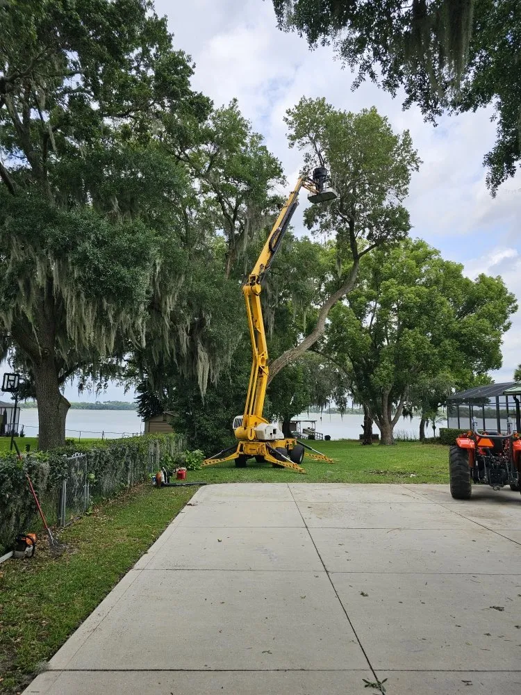 Professional landscape installation in Sorrento, FL by Florida Cut Above