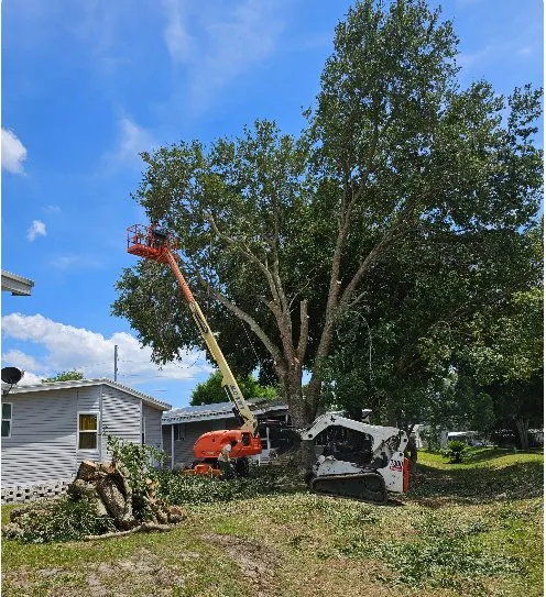 Local landscape installation in Sorrento, FL by Florida Cut Above