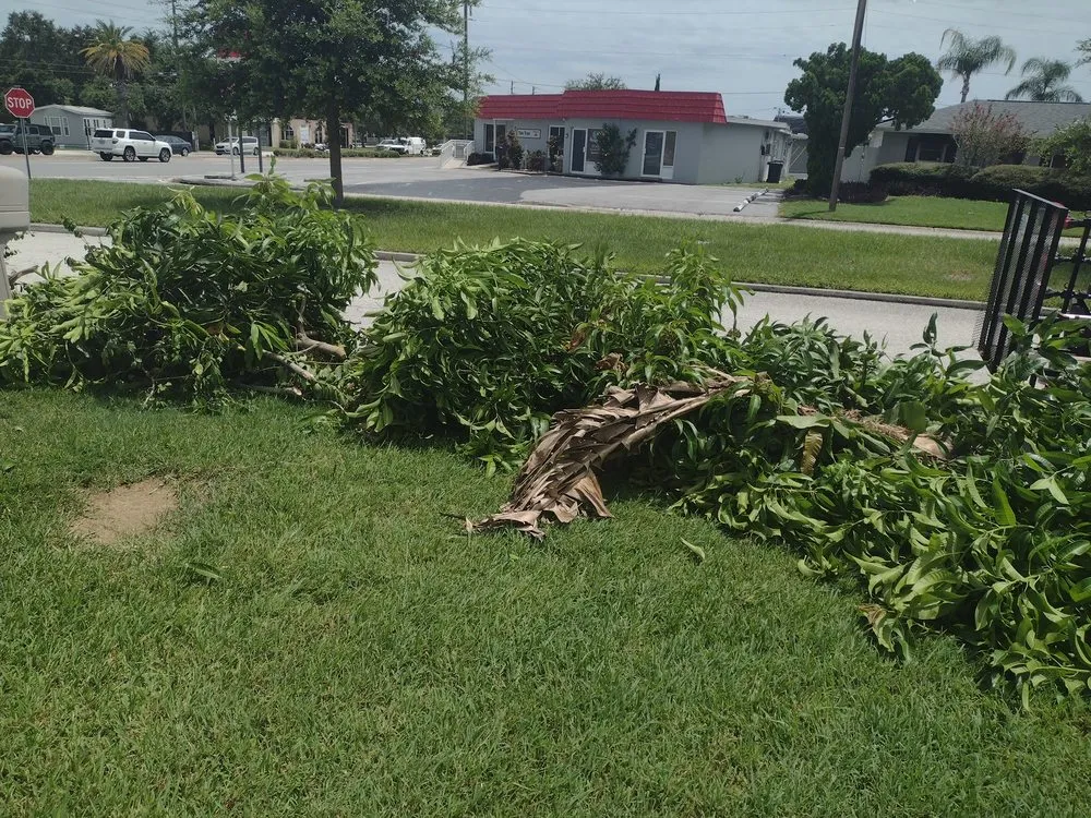 Reliable lawn care service in New Port Richey, FL - Florida Cutz Landscaping