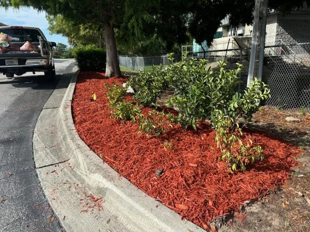 Affordable lawn care service near you in New Port Richey, FL by Florida Cutz Landscaping