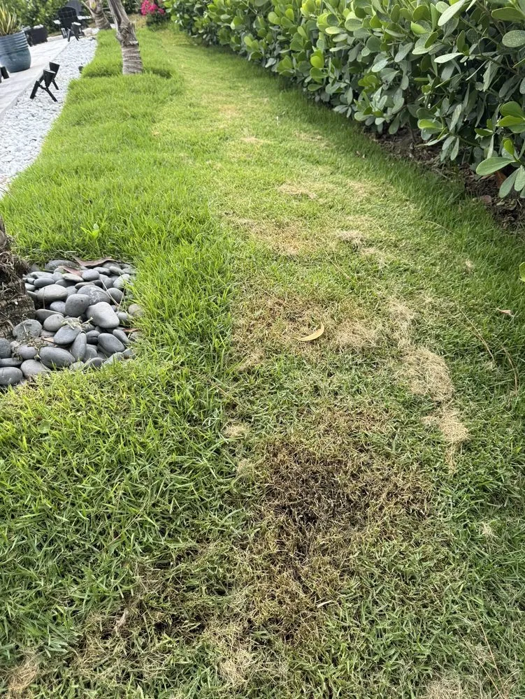 Affordable yard maintenance in Fort Myers, FL by Florida Elite Lawn Care & Mobile Notary