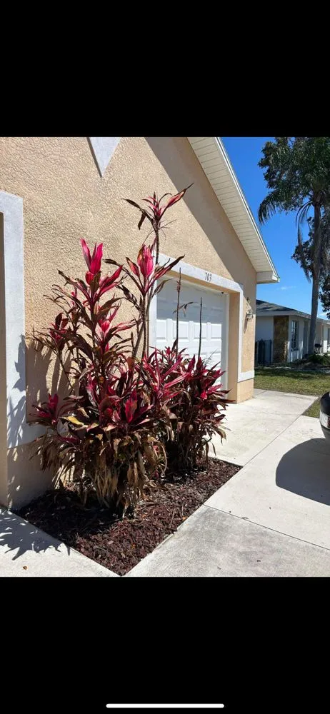 Custom landscape installation in Fort Myers, FL by Florida Elite Lawn Care & Mobile Notary