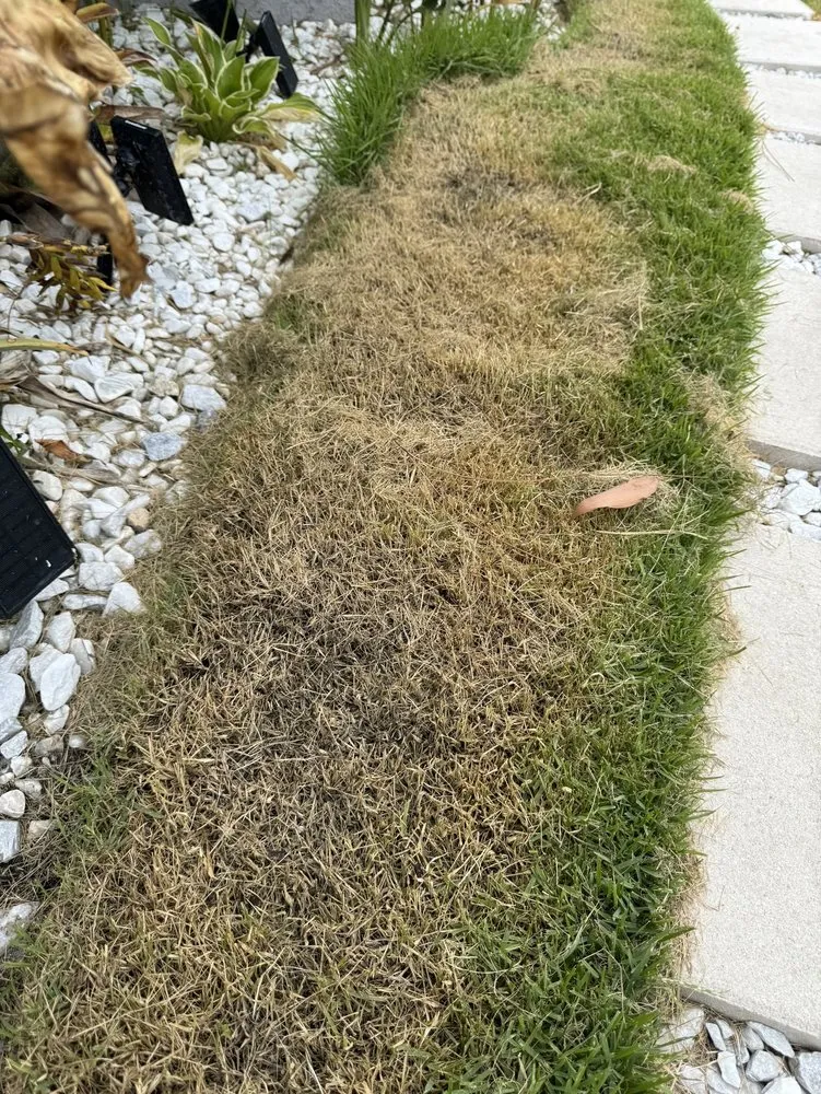 Affordable yard cleanup service for beautiful yards in Fort Myers, FL by Florida Elite Lawn Care & Mobile Notary