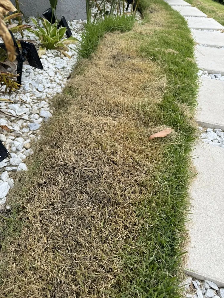 Trusted garden landscaping experts serving Fort Myers, FL - Florida Elite Lawn Care & Mobile Notary